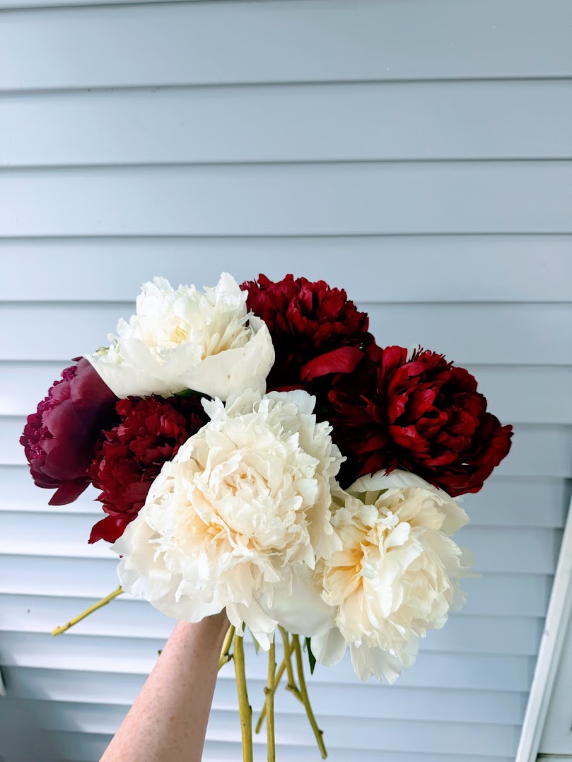 Edmonton Peony Bouquet 